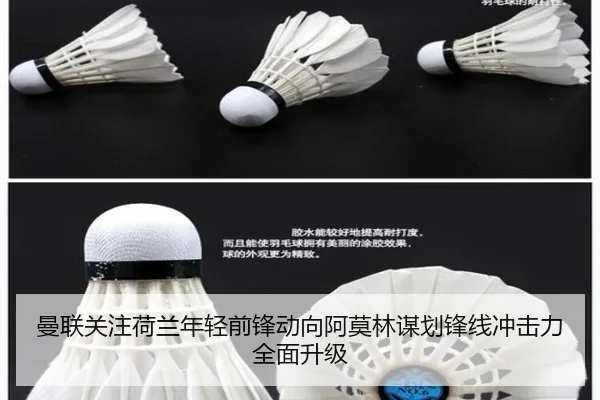 曼联关注荷兰年轻前锋动向阿莫林谋划锋线冲击力全面升级